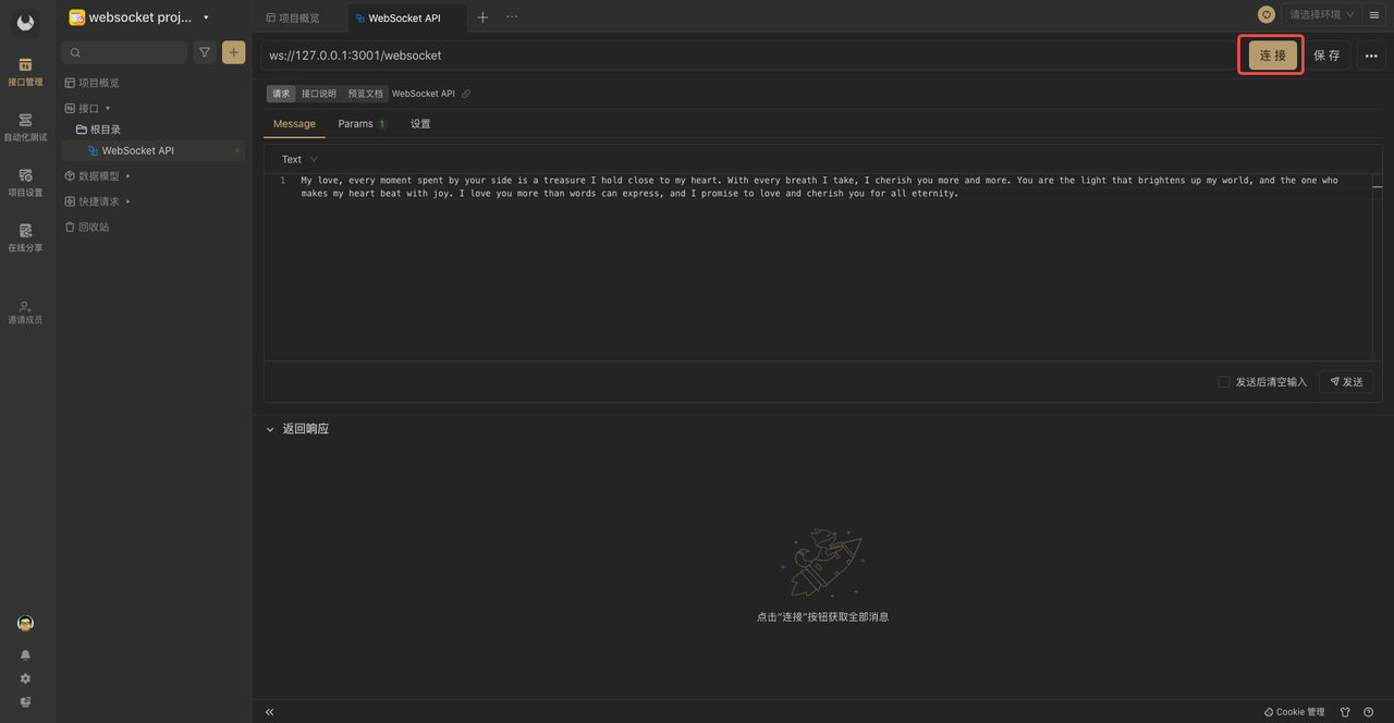 postman 测试 Websocket 接口