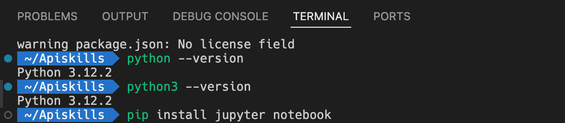 如何在 VSCode 中运行 Jupyter Notebook