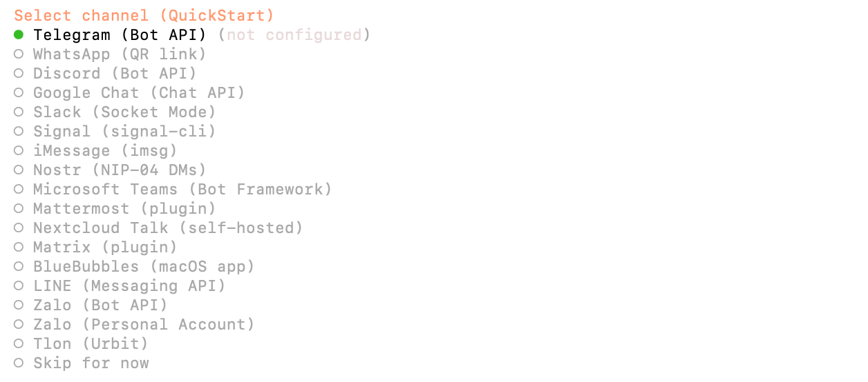 与 Moltbot 交流的聊天工具