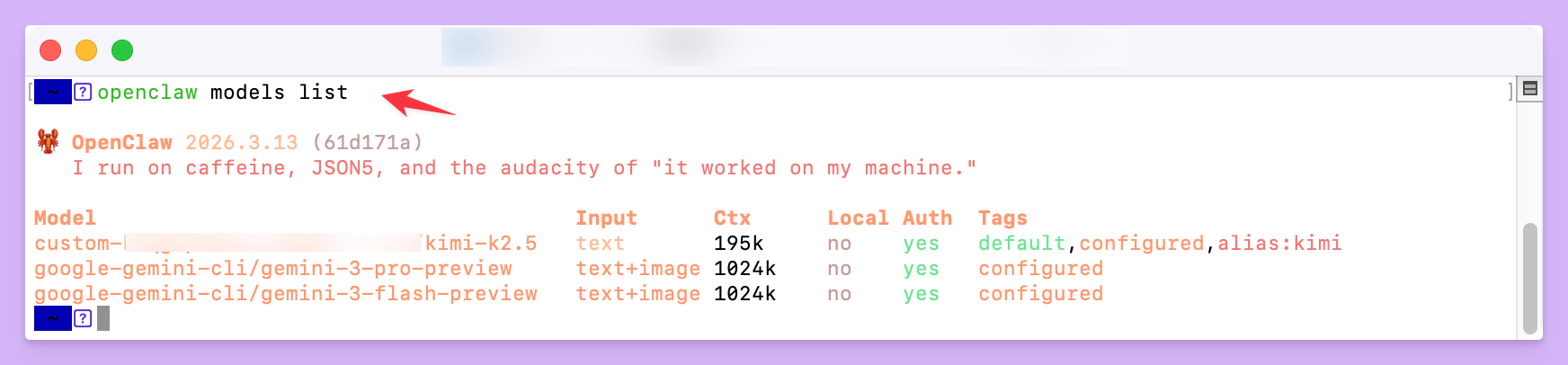 自定义模型供应商（Custom Provider）