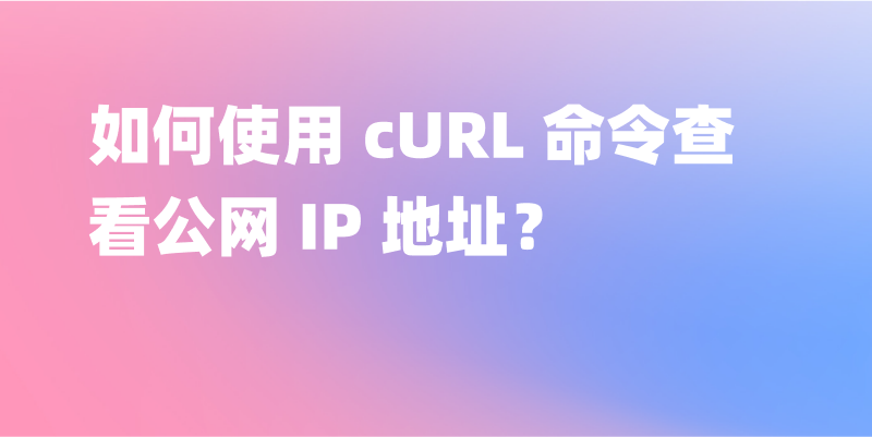  CURL IP 