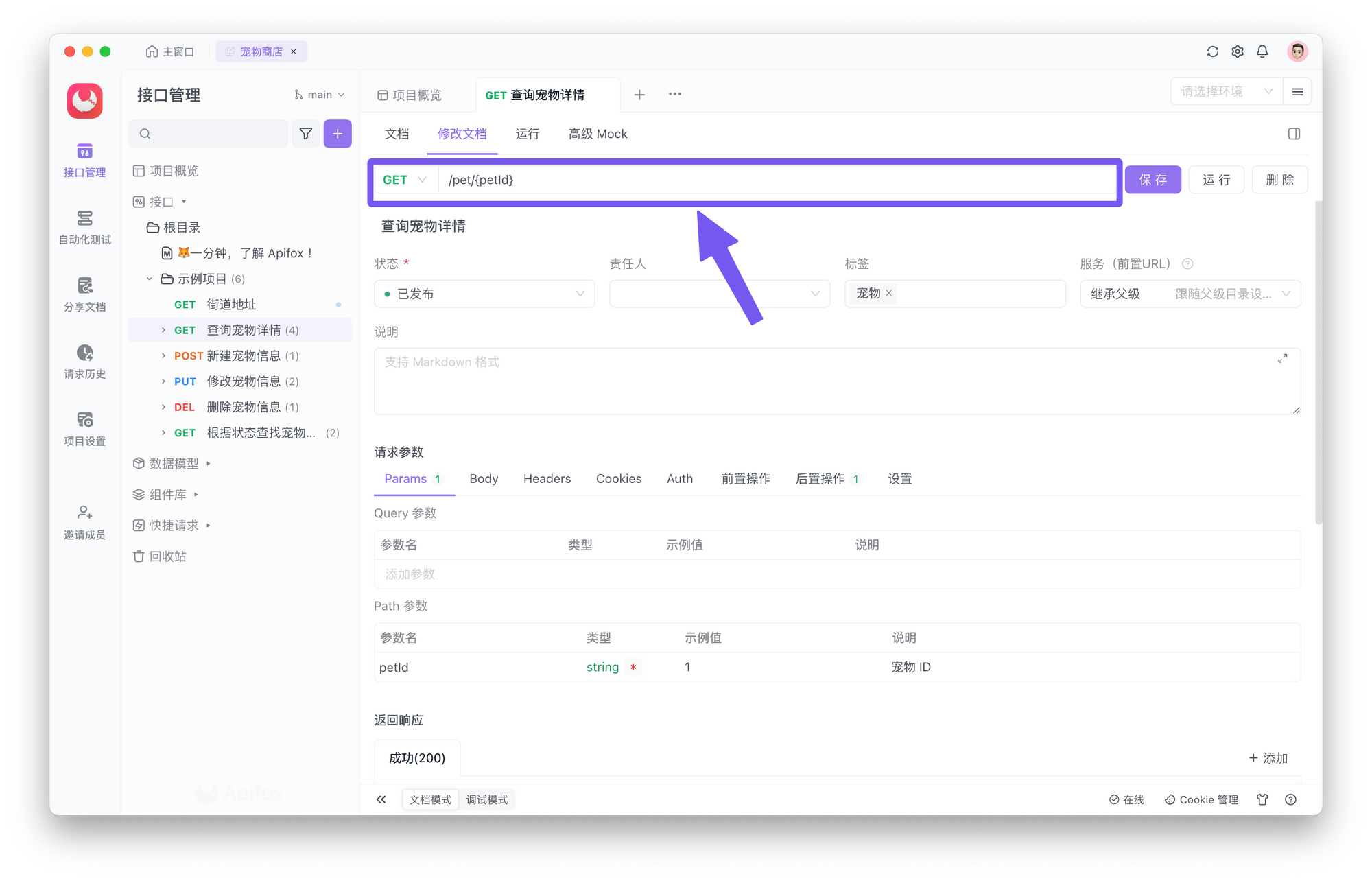 使用 Apifox 的调试功能维护 API