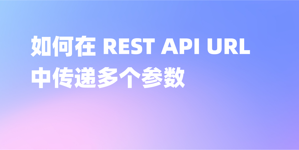 如何在 REST API URL 中传递多个参数