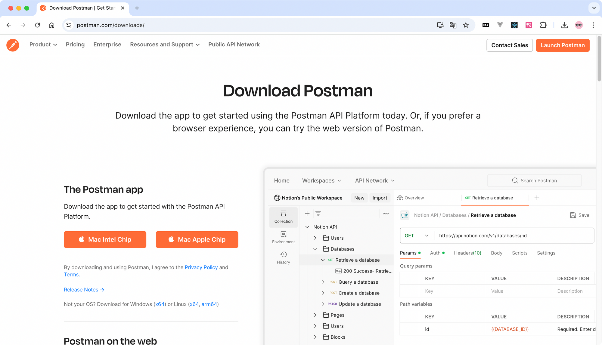 Postman 下载及安装教程